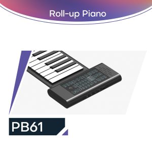 PB61